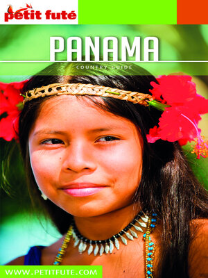 cover image of PANAMA 2019/2020 Petit Futé